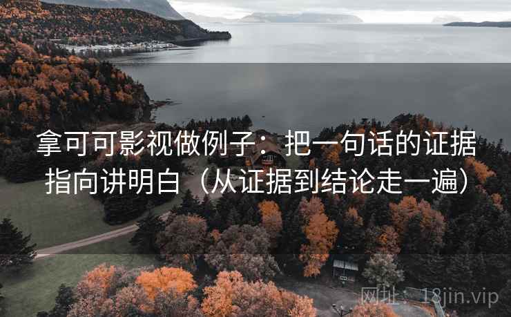 拿可可影视做例子：把一句话的证据指向讲明白（从证据到结论走一遍）